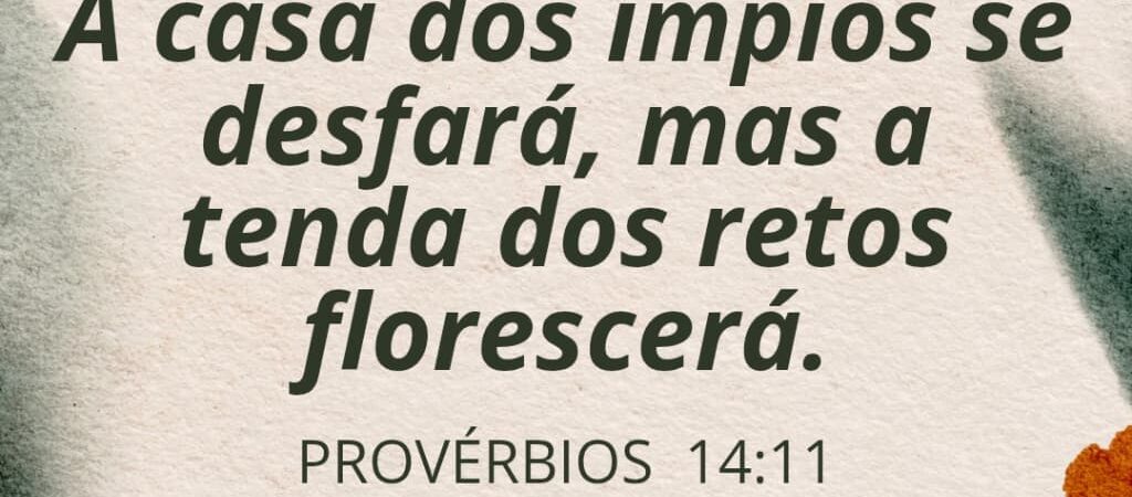 05 de maio de 2026