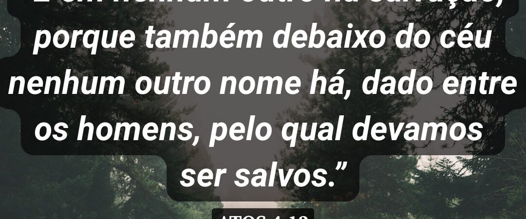 08 de maio de 2026