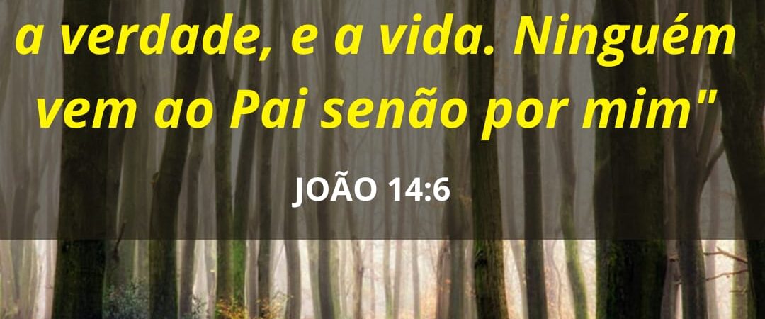 07 de maio de 2026