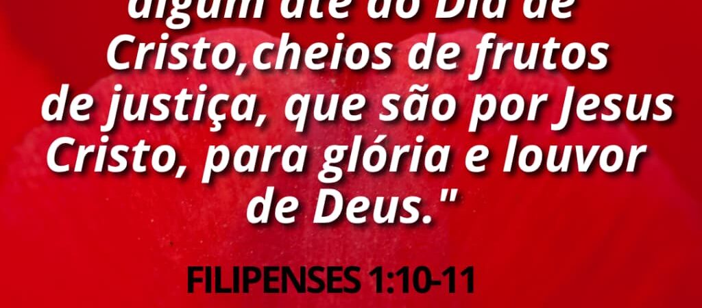 11 de maio de 2026