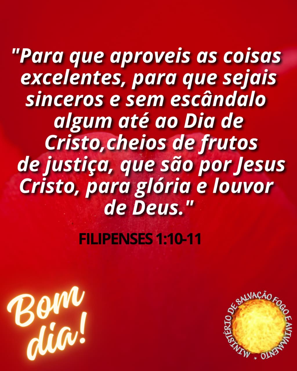11 de maio de 2026