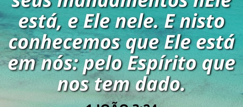 15 de maio de 2026