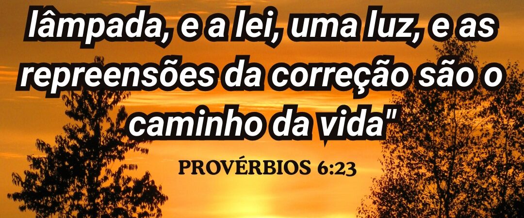 19 de maio de 2026