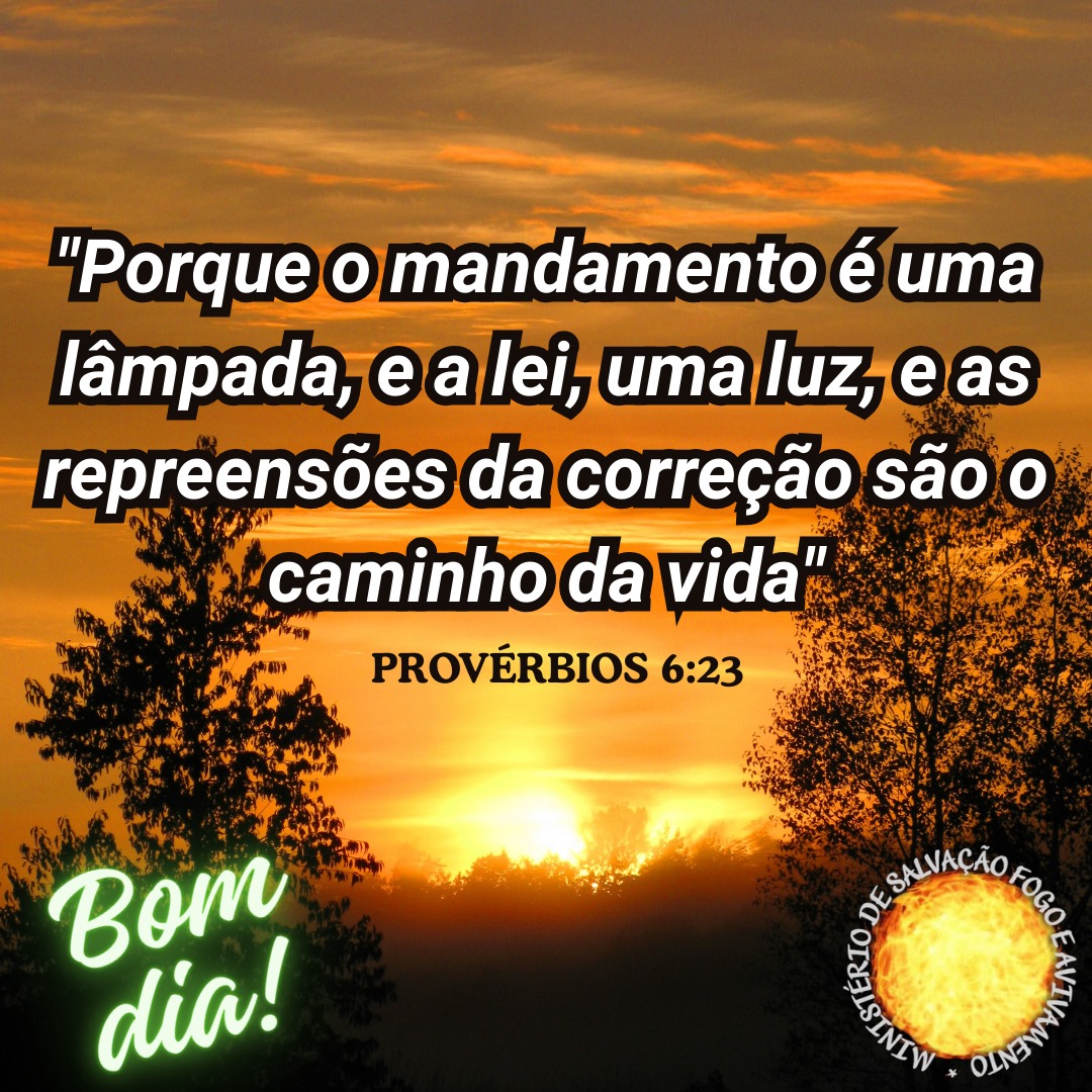 19 de maio de 2026