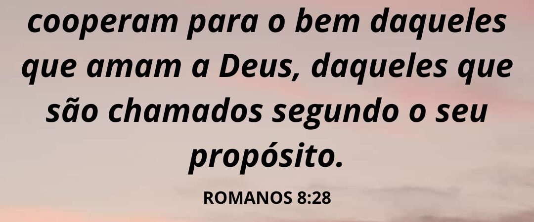 01 de Junho de 2026