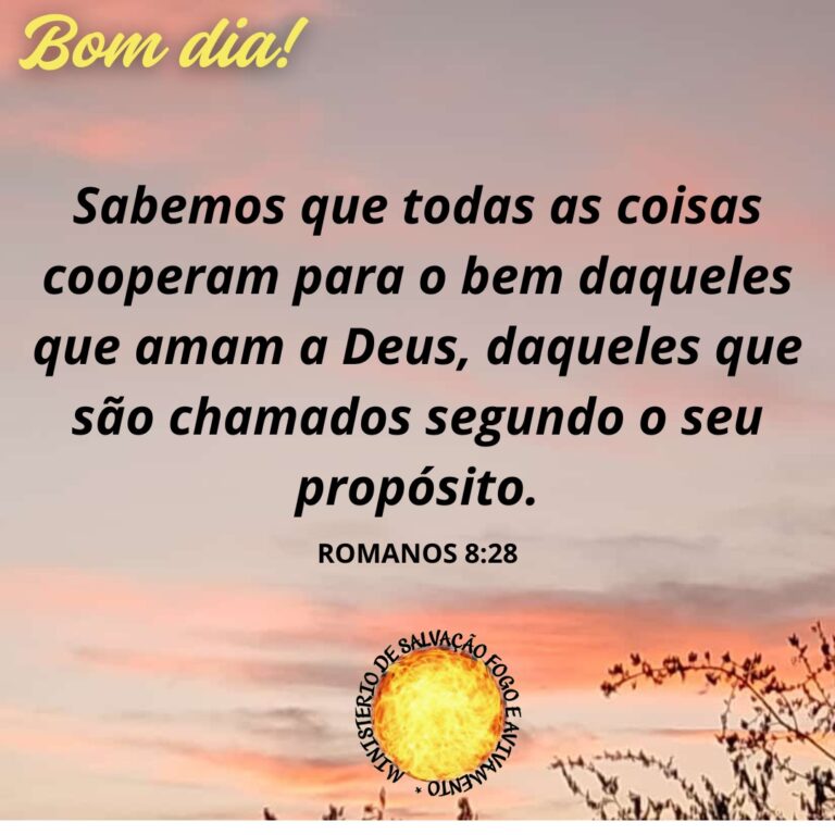 01 de Junho de 2026
