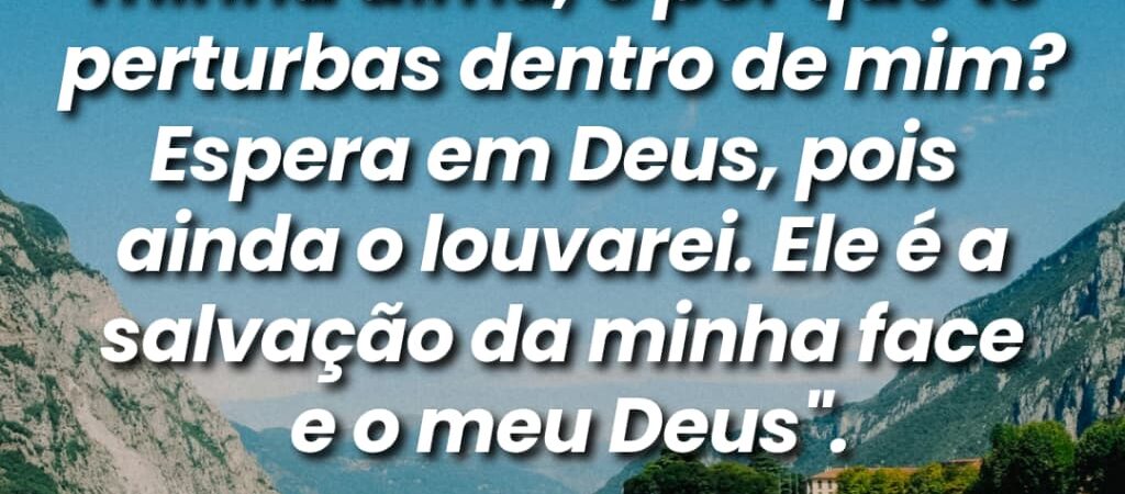 03 de Junho de 2026