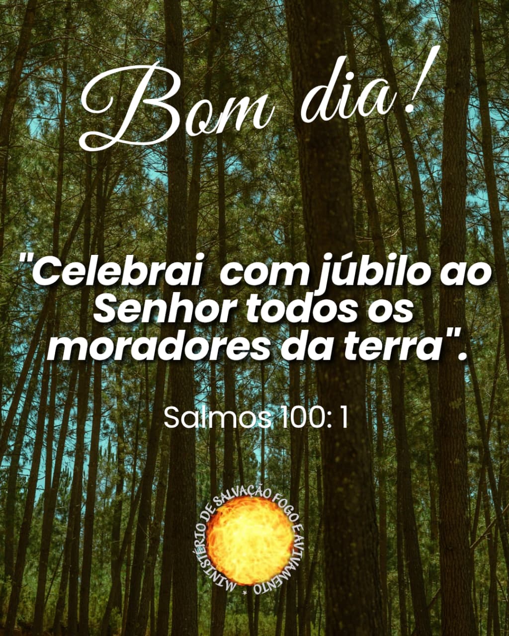 07 de Junho de 2026