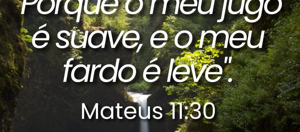 11 de Junho de 2026
