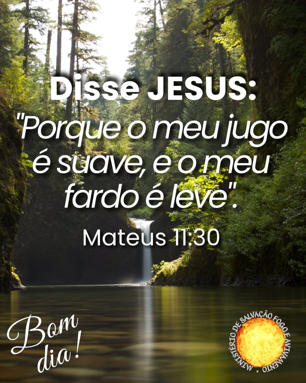 11 de Junho de 2026