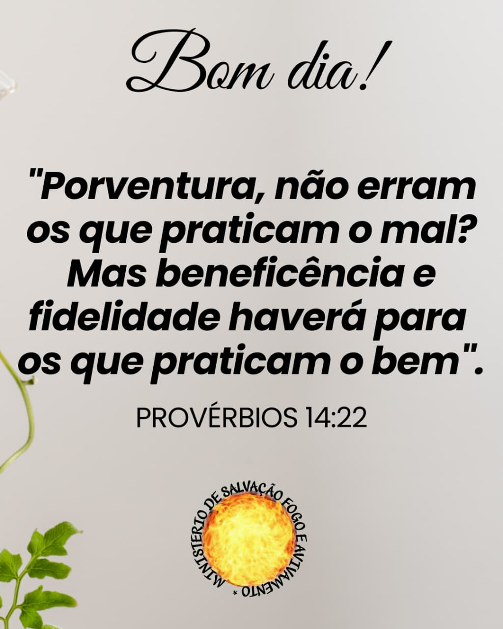 16 de Junho de 2026