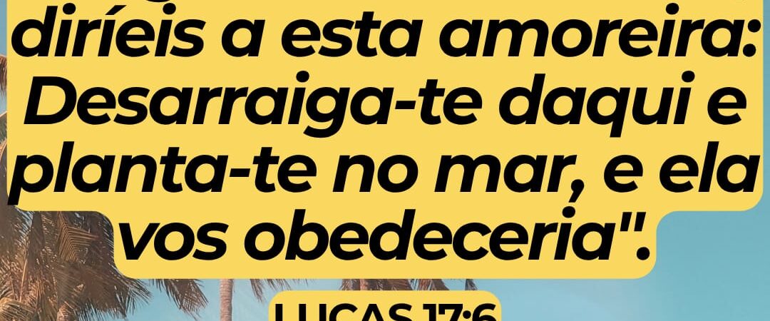 25 de Junho de 2026