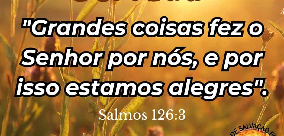 28 de Junho de 2026