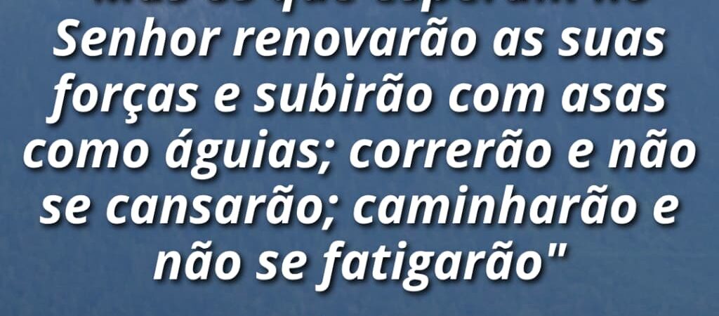 03 de Agosto de 2026