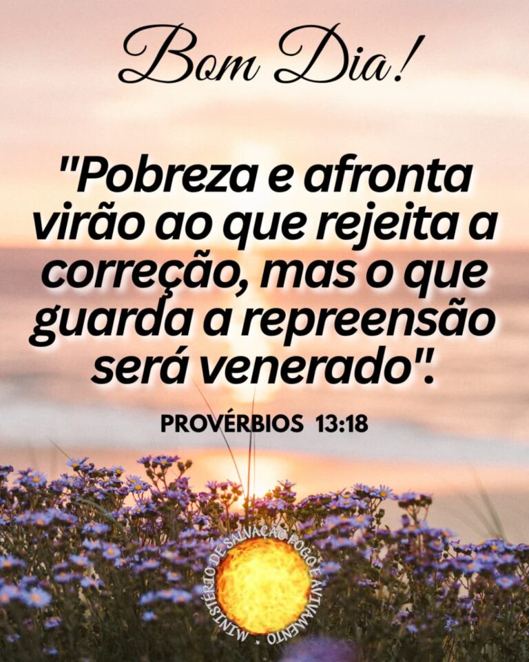 11 de Agosto de 2026