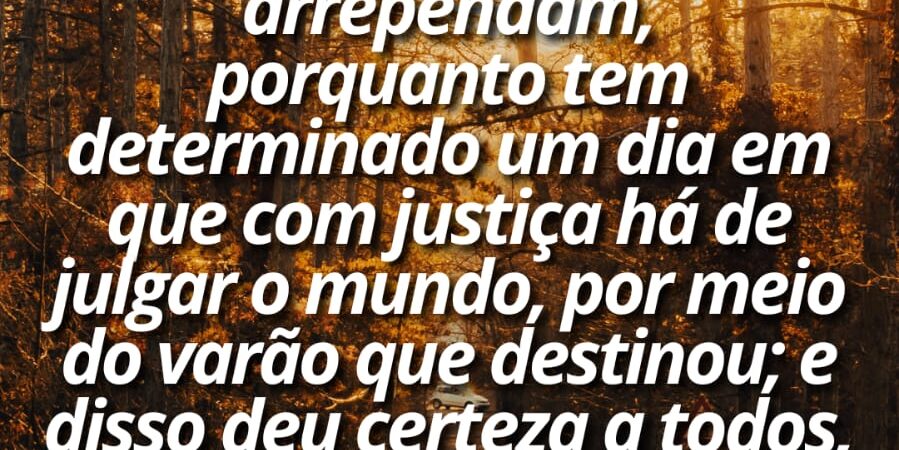 14 de agosto de 2026